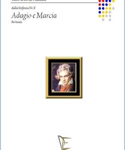 ADAGIO E MARCIA DALLA 9ª SINFONIA