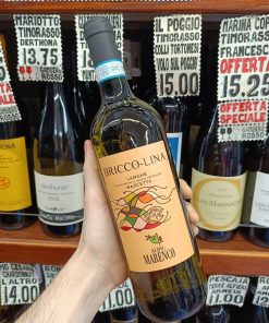 Aldo Marenco Langhe Nascetta Briccolina Organic 6 Mesi Acciaio