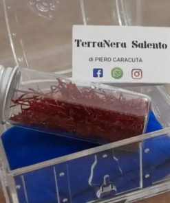 Zafferano di zollino