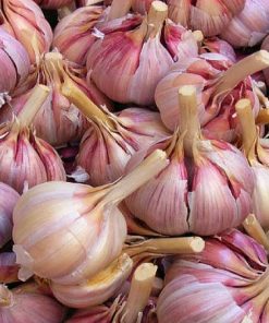 Aglio rosso confezione da 3 pezzi